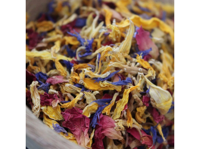 Aurore – Fleurs comestibles
