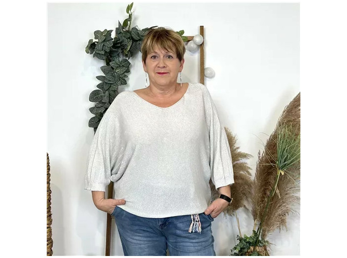 Z552. Pull à paillettes (Tu) 🇮🇹 (ecru)