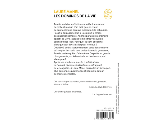 LES DOMINOS DE LA VIE
