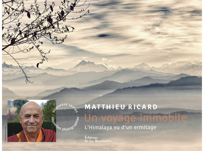 UN VOYAGE IMMOBILE (NVELLE EDITION)