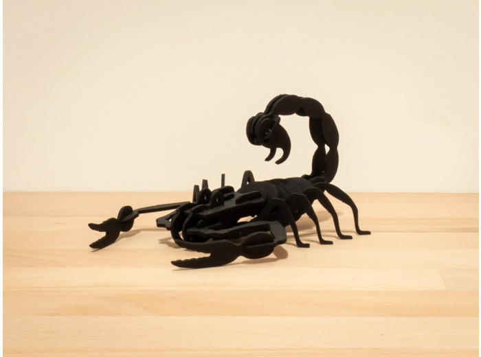 Scorpion