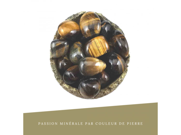 Œil de Tigre et Faucon