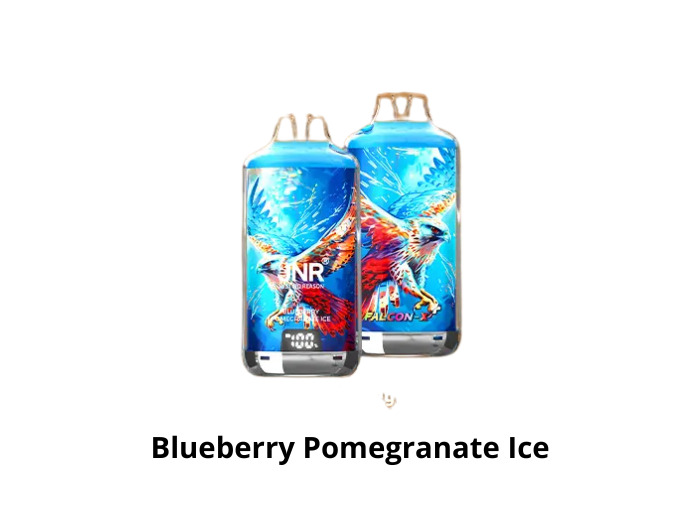 Puff 28k - JNR Falcon X + - Blueberry Pomegranate Ice