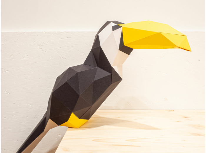Toucan