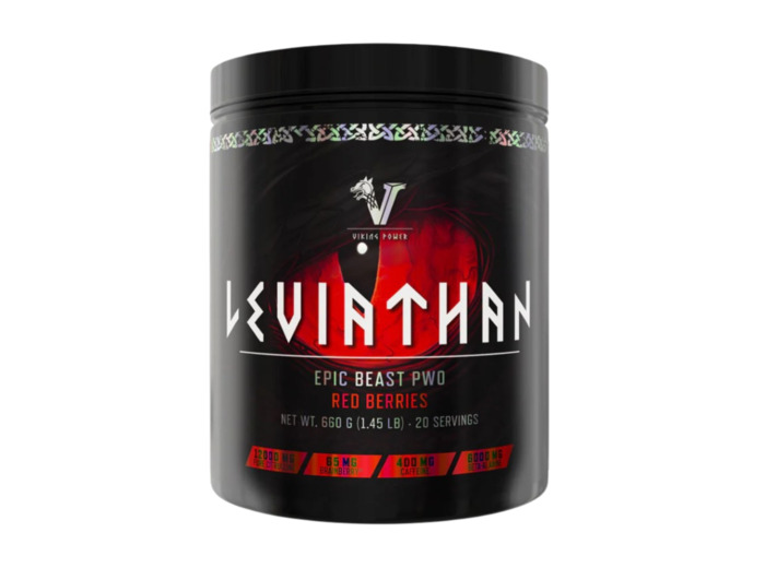 VIKING POWER LEVIATHAN 660G