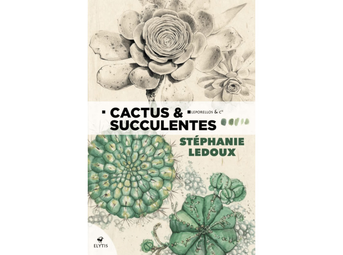 CACTUS & SUCCULENTES