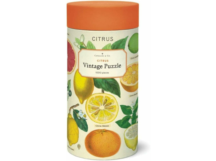 Cavallini 1000 Piece Puzzle, Citrus