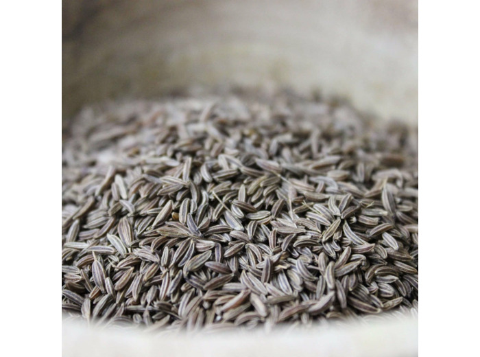 Graines de carvi
