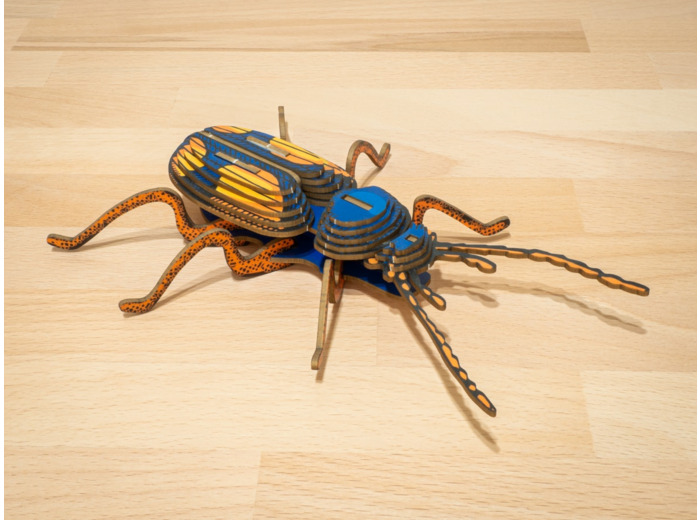 Chatouillus en Carton