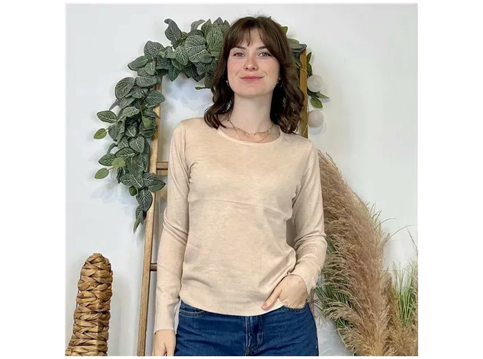 Y376- Pull FIN sans laine «Voggo» (T36-T48) (beige)