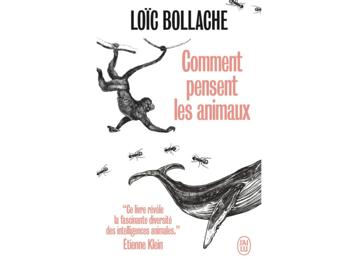COMMENT PENSENT LES ANIMAUX