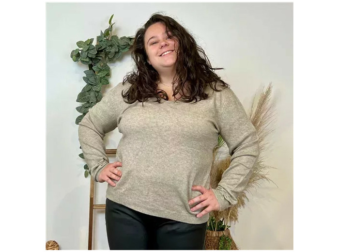 Y250- Pull Laine Cachemire "Tricotonic" (les T44&48) (taupe)