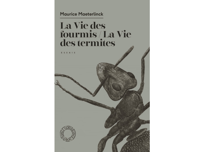 LA VIE DES TERMITES / LA VIE DES FOURMIS