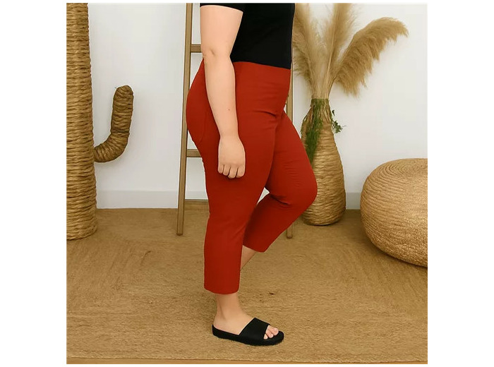 R273- Tregging Christy (T42-T52) (rouille)