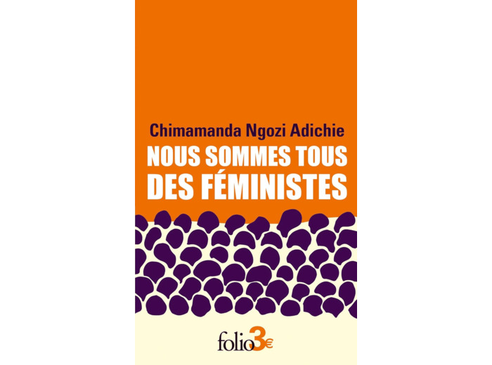 NOUS SOMMES TOUS DES FEMINISTES/LE DANGER DE L'HISTOIRE UNIQUE