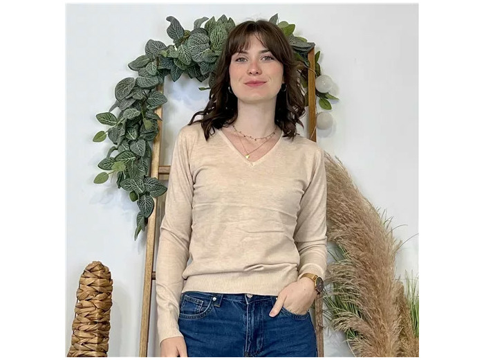 Y372- Pull FIN sans laine «Voggo» (T36-T48) (beige)