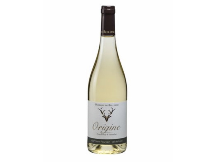 SAINT POURCAIN AOP BLANC  ORIGINE  DOMAINE BELLEVUE