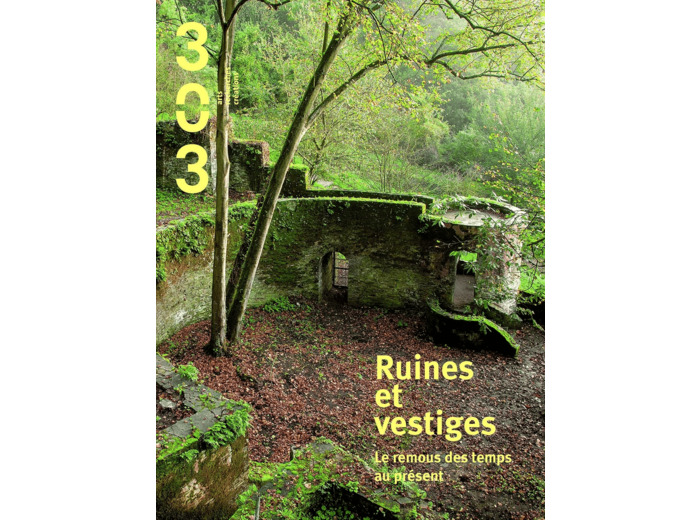 RUINES ET VESTIGES - LE REMOUS DES TEMPS AU PRESENT