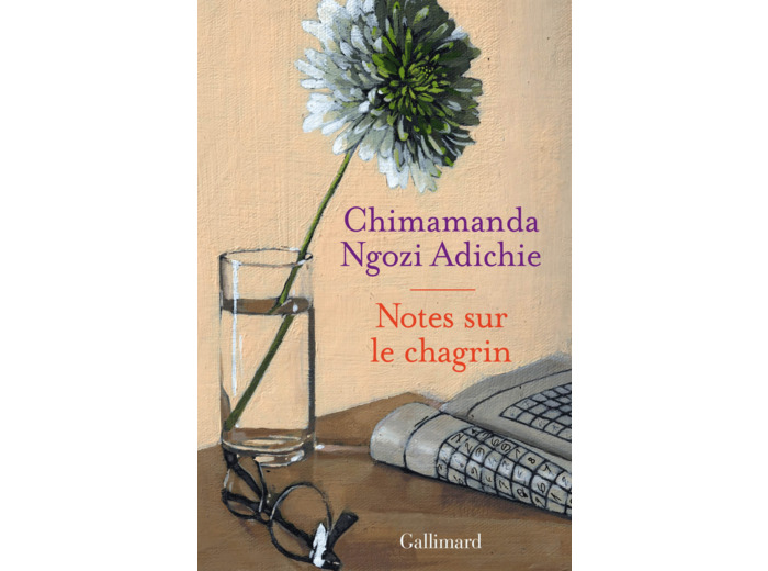 NOTES SUR LE CHAGRIN
