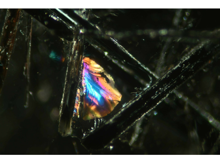 "Voile solaire" de Nils le Moniès de Sagazan