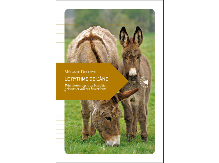 LE RYTHME DE L'ANE