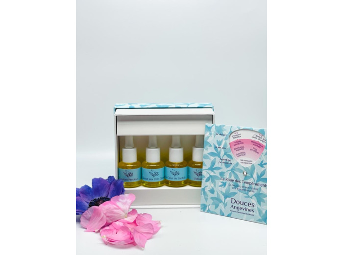 Coffret Découverte 4 Harmoniques