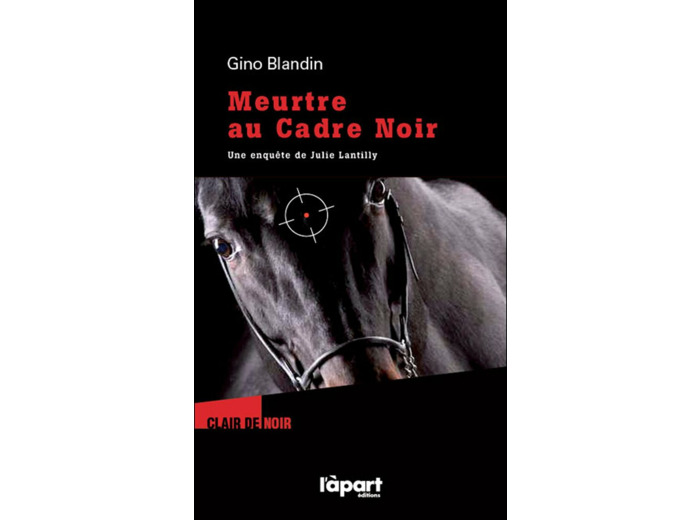 MEURTRE AU CADRE NOIR UNE ENQUETE DE JULIE LANTILLY (POCHE) COLL. GESTE NOIR