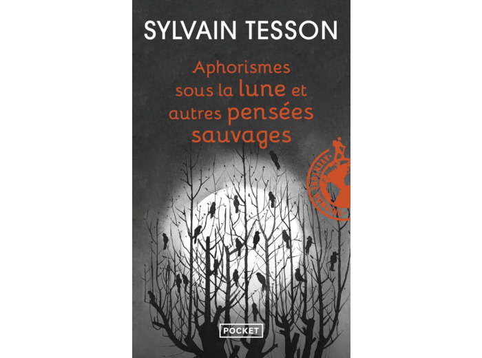 APHORISMES SOUS LA LUNE ET AUTRES PENSEES SAUVAGES
