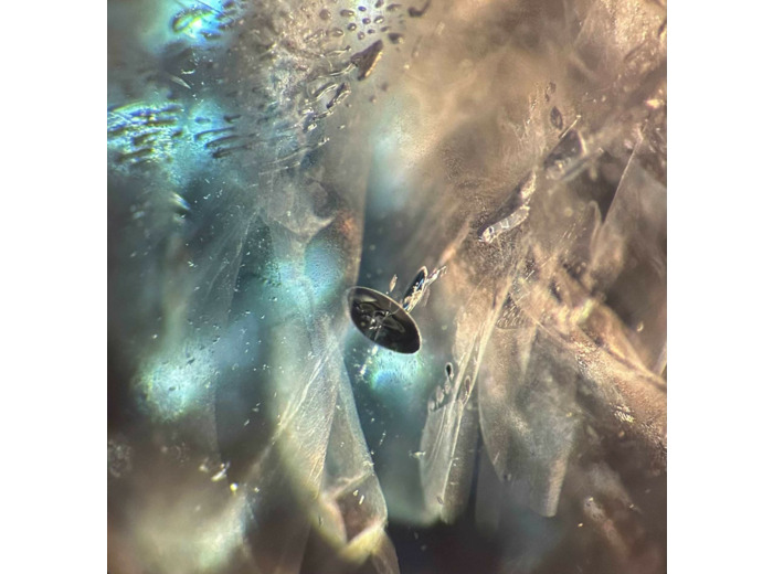 "Parallel World" Elyot BLAIN