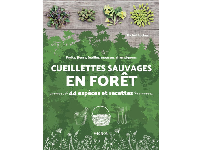 CUEILLETTES SAUVAGES EN FORET - 44 ESPECES ET RECETTES