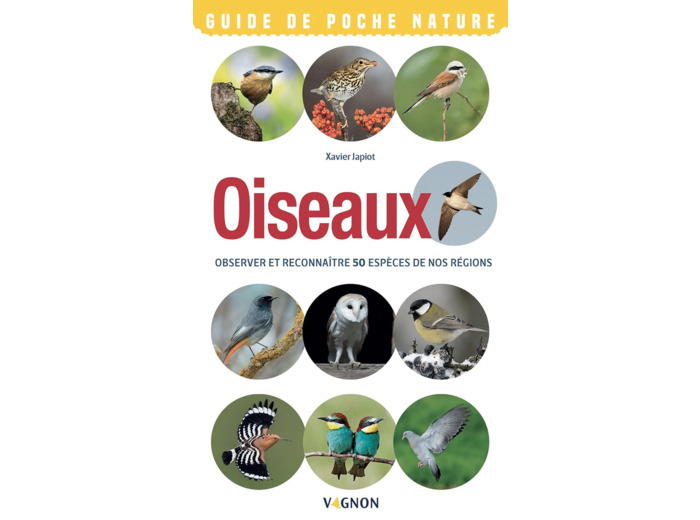 OISEAUX - OBSERVER ET RECONNAITRE 50 ESPECES DE NOS REGIONS