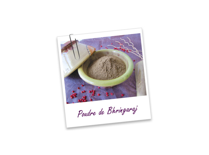 Poudre de plantes réparatrice, fortifiante