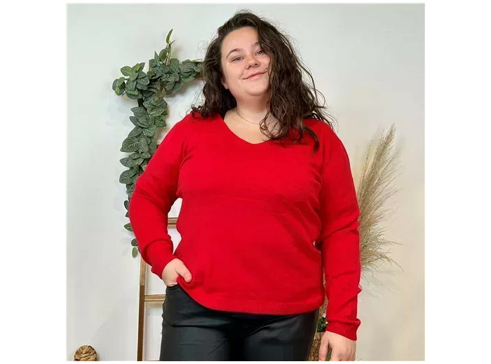 Y250- Pull Laine Cachemire "Tricotonic" (les T44&48) (rouge)