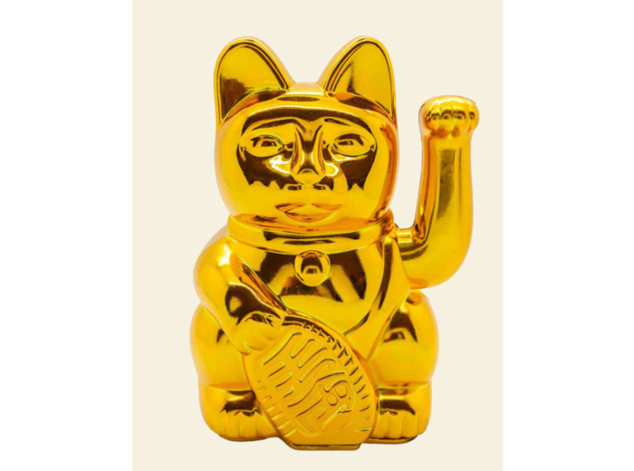 Donkey lucky Cat Cosmic Or