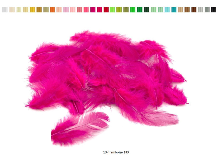 Plumes marabout sachet de 5 g environ 80 pieces par sachet framboise ref 183
