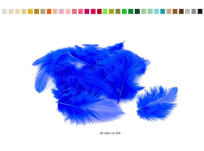 Plumes marabout sachet de 5 g environ 80 pieces par sachet bleu ROI