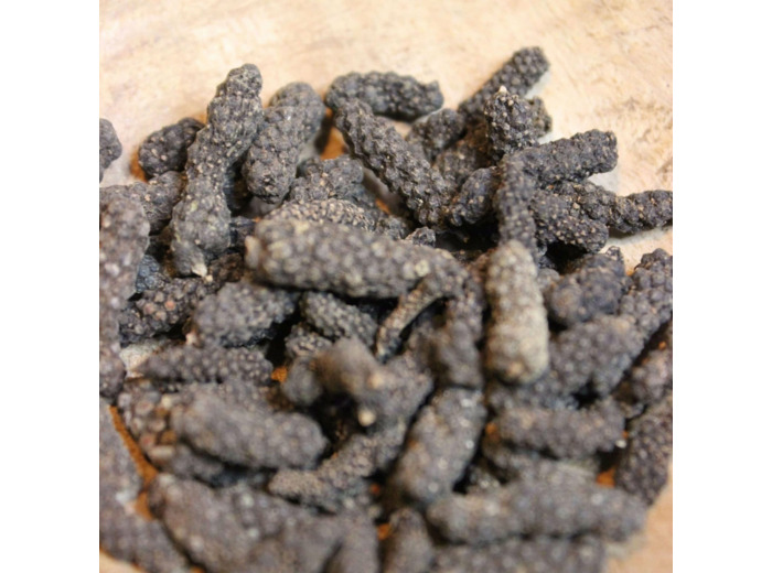 Poivre long du Népal / Poivre choco: