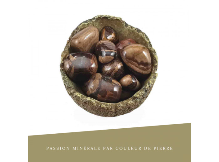 Jaspe Chocolat