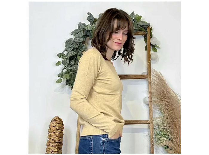 Y376- Pull FIN sans laine «Voggo» (T36-T48) (taupe)