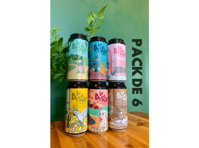 Pack 6 Canettes 44cl