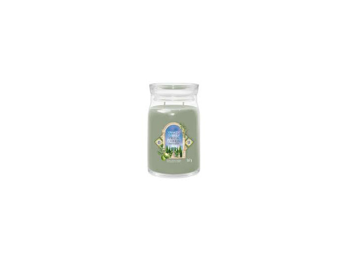 Bougie parfumée Yankee Candle - Cyprès et Oliviers