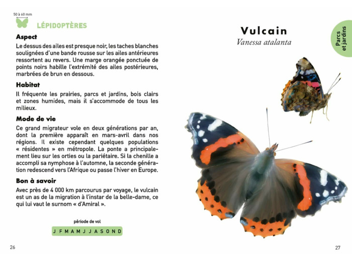 LE PETIT GUIDE DES INSECTES