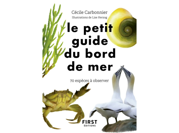 LE PETIT GUIDE DU BORD DE MER