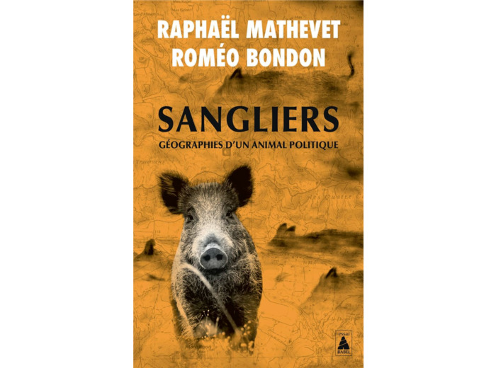 SANGLIERS, GEOGRAPHIES D'UN ANIMAL POLITIQUE