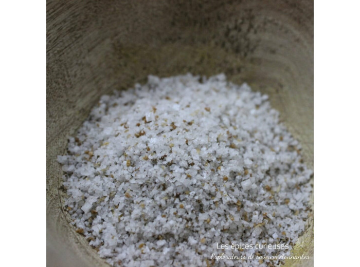 Assemblage Sel pour Poisson