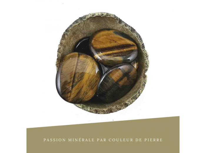 Œil de Tigre et Faucon