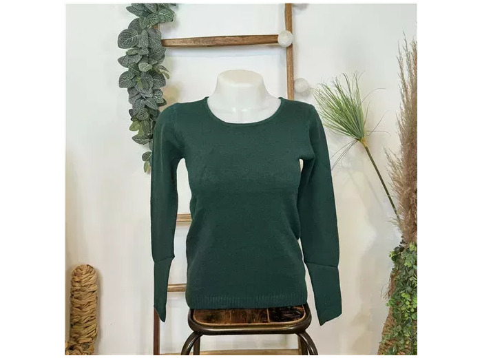 Y251- Pull Laine Cachemire "Tricotonic" (les T36&40) (vert sapin)