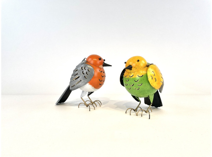 oiseaux boule