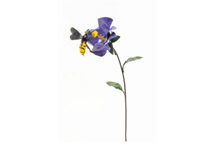 Abeille sur iris Parme