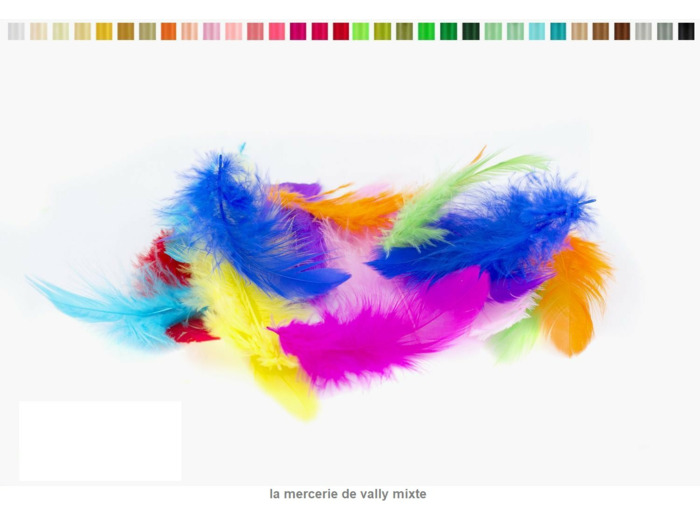 Plumes marabout sachet de 5 g environ 80 pieces par sachet coloris melangees